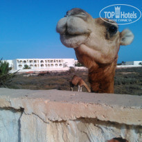 фото из отзыва ID 1637876