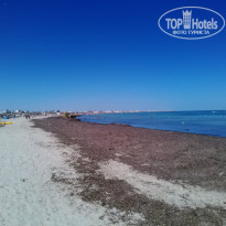 фото из отзыва ID 1637876