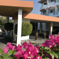 фото из отзыва ID 1637895