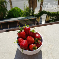 фото из отзыва ID 1637931