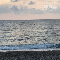 фото из отзыва ID 1638078