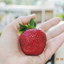 фото из отзыва ID 1638140