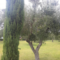 фото из отзыва ID 1638185