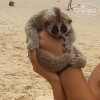 фото из отзыва ID 1638251