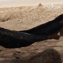 фото из отзыва ID 1638251