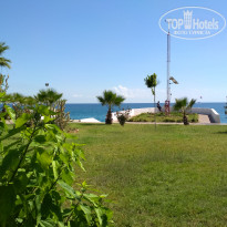 фото из отзыва ID 1638275