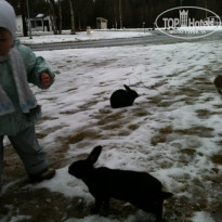 фото из отзыва ID 1636481