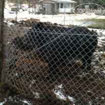 фото из отзыва ID 1636481