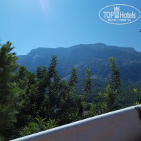 фото из отзыва ID 1638481