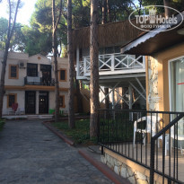 фото из отзыва ID 1638498