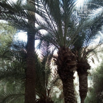 фото из отзыва ID 1632077