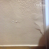 фото из отзыва ID 1639263