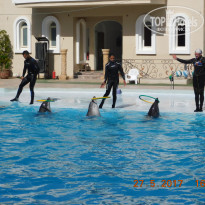 фото из отзыва ID 1639354