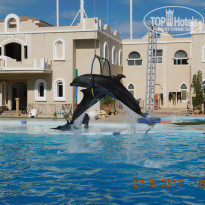 фото из отзыва ID 1639354