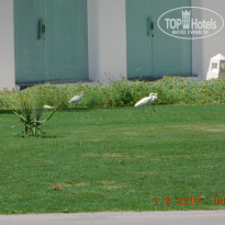 фото из отзыва ID 1639354