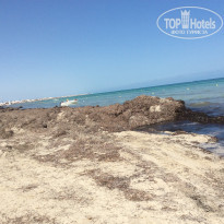 фото из отзыва ID 1639365