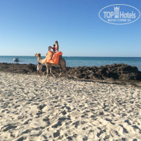 фото из отзыва ID 1639365