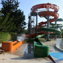 фото из отзыва ID 1638132