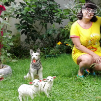 фото из отзыва ID 1639463