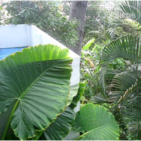 фото из отзыва ID 1638063