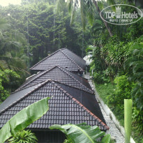 фото из отзыва ID 1638063