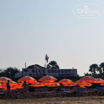 фото из отзыва ID 1639500