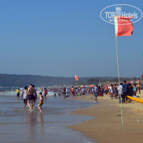 фото из отзыва ID 1639500