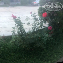 фото из отзыва ID 1639592