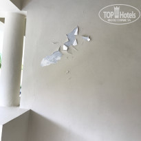 фото из отзыва ID 1639594