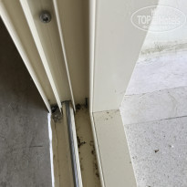 фото из отзыва ID 1639594