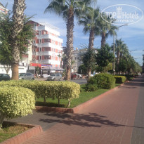 фото из отзыва ID 1639611