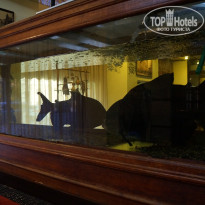 фото из отзыва ID 1639725