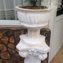 фото из отзыва ID 1639790