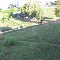 фото из отзыва ID 1639951