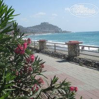 фото из отзыва ID 1639734