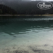 фото из отзыва ID 1639275