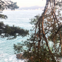 фото из отзыва ID 1639275