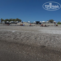 фото из отзыва ID 1639647