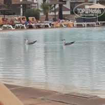 фото из отзыва ID 1639367