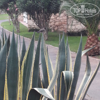 фото из отзыва ID 1639367