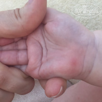 фото из отзыва ID 1630122