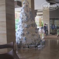 фото из отзыва ID 1634737