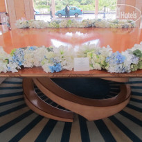 фото из отзыва ID 1634737