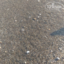 фото из отзыва ID 1632771