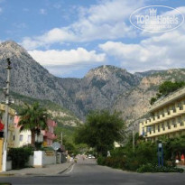 фото из отзыва ID 164055