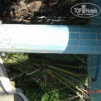 фото из отзыва ID 164116