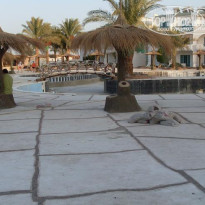 фото из отзыва ID 164389