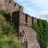 фото из отзыва ID 164850