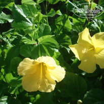 фото из отзыва ID 164892