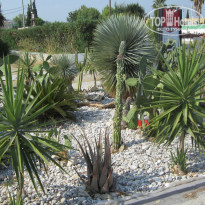 фото из отзыва ID 1640016